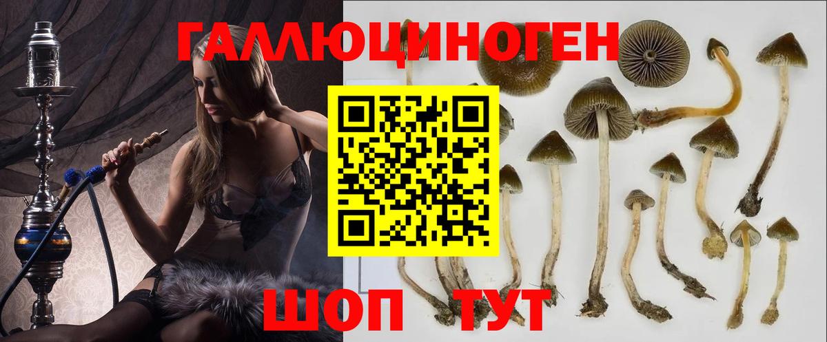 Галлюциногенные грибы GOLDEN TEACHER Кингисепп